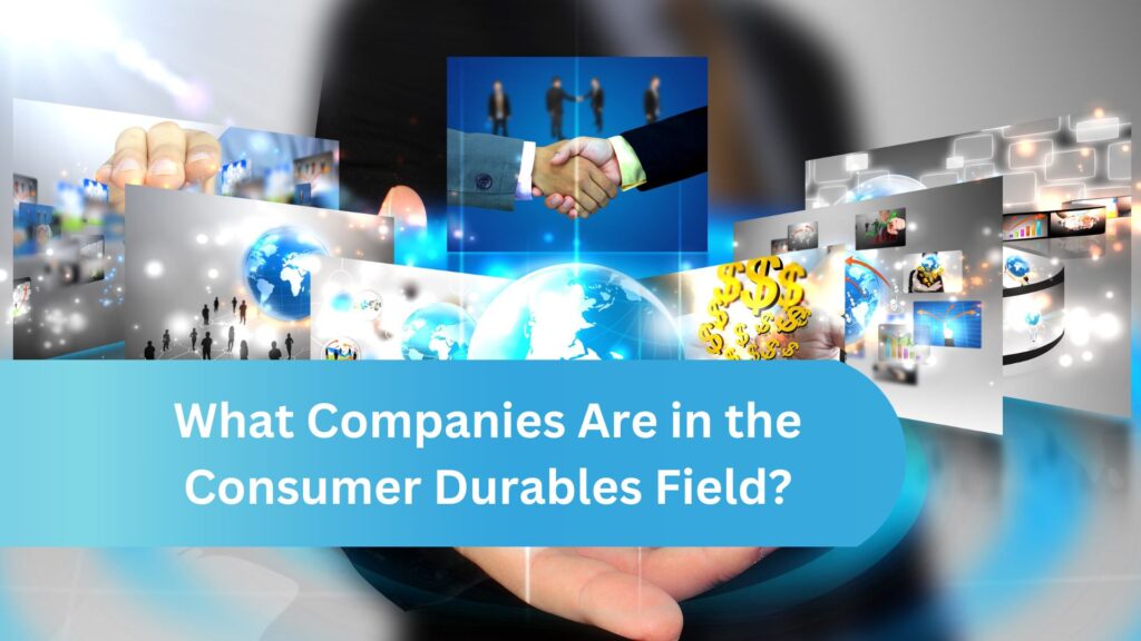 What Companies Are in the Consumer Durables Field?